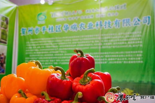 桂字號農(nóng)業(yè)品牌西安推介會 廣西初級農(nóng)產(chǎn)品閃耀古城