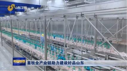 《山東新聞聯(lián)播》| 鳳祥股份全產(chǎn)業(yè)鏈助力建設(shè)好品山東，初級農(nóng)產(chǎn)品提質(zhì)增效