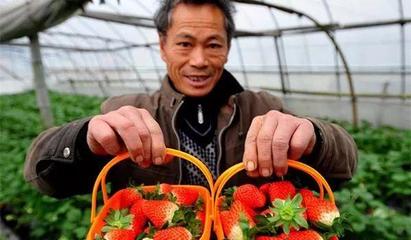 6億人口農(nóng)村電商 初級農(nóng)產(chǎn)品的機遇與挑戰(zhàn)