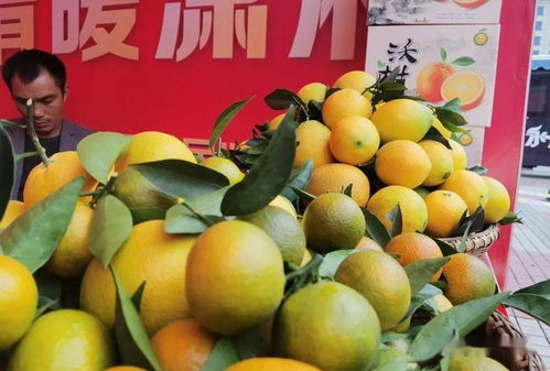 冷水灘 品味天然之味，開啟農(nóng)產(chǎn)品“買買買”之旅