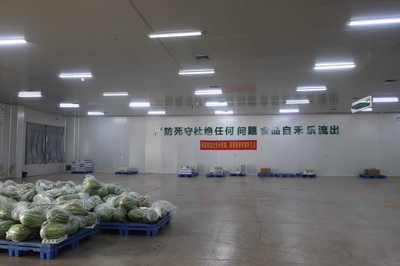 龍頭企業(yè)引領(lǐng)，搭乘“廣西好嘢”快車——平南縣農(nóng)產(chǎn)品物流發(fā)展駛?cè)肟燔嚨? class=