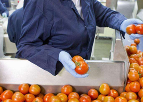 從源頭到餐桌 提升家禽家畜農(nóng)副食品加工業(yè)競(jìng)爭(zhēng)力的策略