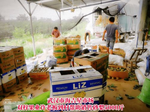 線上線下齊發(fā)力，石橋驛鎮(zhèn)為滯銷(xiāo)農(nóng)產(chǎn)品打開(kāi)新銷(xiāo)路